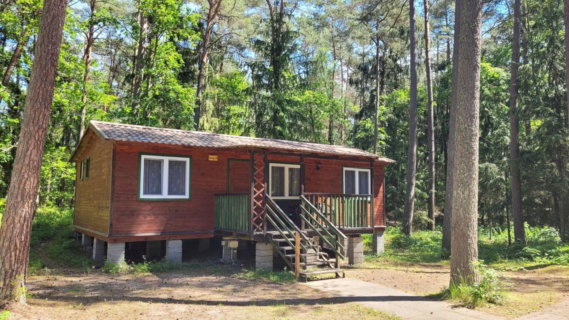 Resort O.w. Krakus Ii - I Stegna (Pomerania)